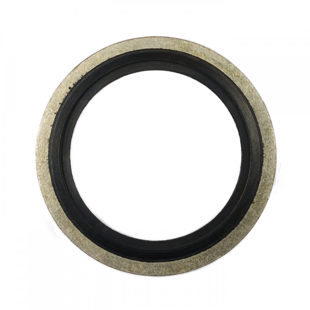 DOWTY SEAL BONDED 1/8"