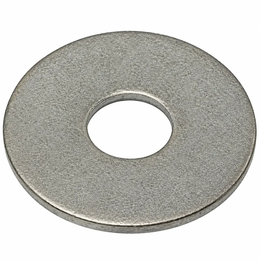 M6 x 25 Penny Washer SS