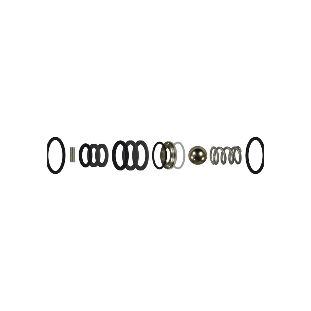 S250 Unloader Repair Kit