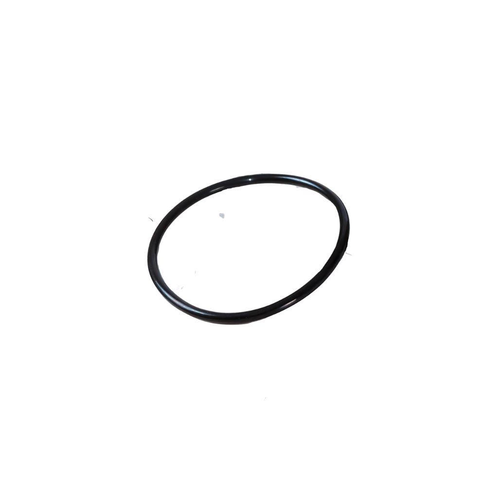 [GP-A-4021SSH-ECOR] SSH PERMEATE SEAL O RING