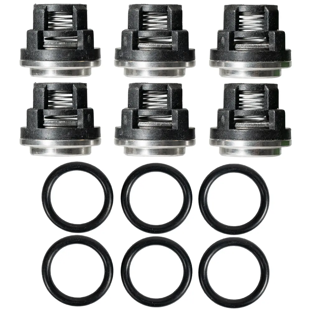 Annovi Reverberi Valve Kit (Genuine)