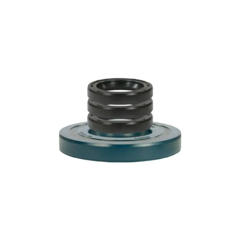 [DP-GJ-172900017] Comet Oil Seal Kit (3)